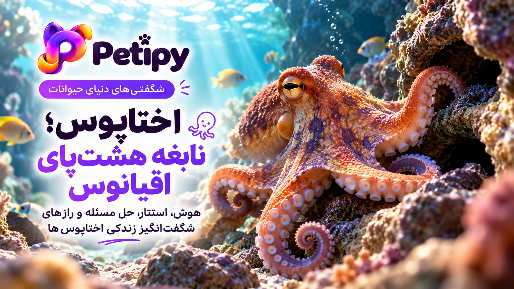 اختاپوس؛ ۱۰ حقیقت شگفت‌انگیز درباره نابغه اقیانوس