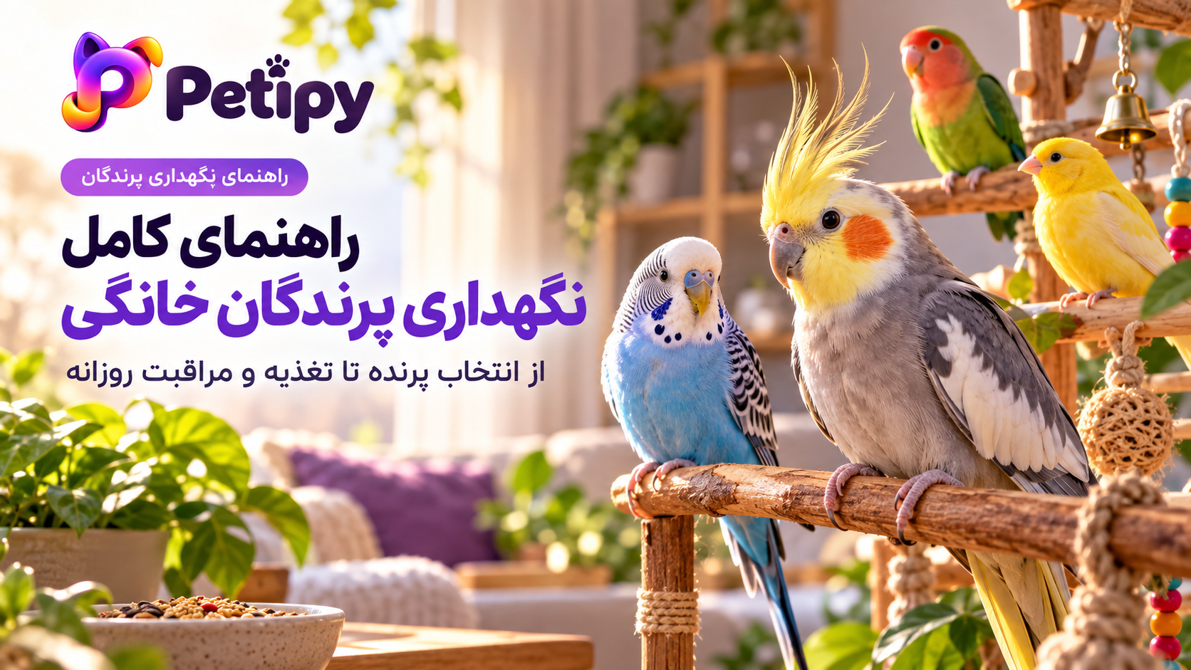 راهنمای نگهداری پرندگان خانگی؛ تغذیه، قفس و سلامت | پتی‌فای