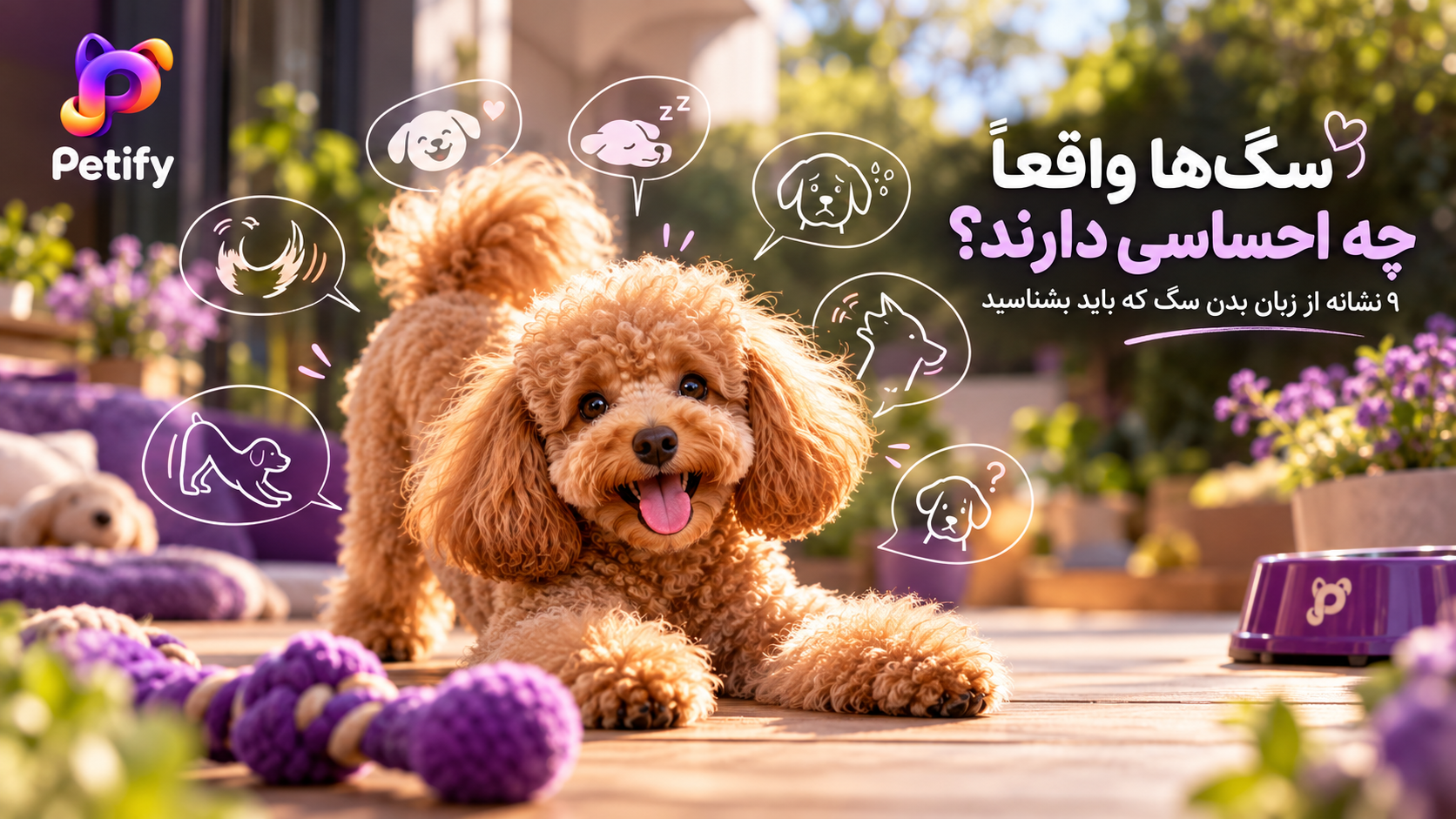 زبان بدن سگ‌ها؛ ۹ نشانه برای شناخت احساسات سگ